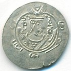 Табаристан, Арабские наместники, 1/2 драхмы 789 год (AU)