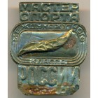 Россия, знак 