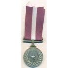 Пакистан, Медаль 