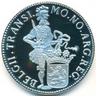 Нидерланды, 1 серебряный дукат 2007 год (PROOF)