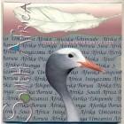 ЮАР, 1996 год (BU)