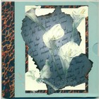 ЮАР, 1997 год (BU)