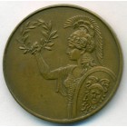 Австрия, медаль 1928 год (AU)