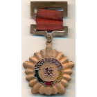 Китай, медаль 1953 год КОПИЯ