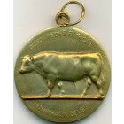 Бельгия, медаль 1969 год (AU)
