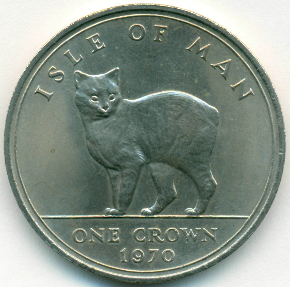 Cats coin. 1 Крона остров Мэн 1989. Персидская кошка.. Кошка Елизаветы 2. Монета с пирамидами и кошкой.